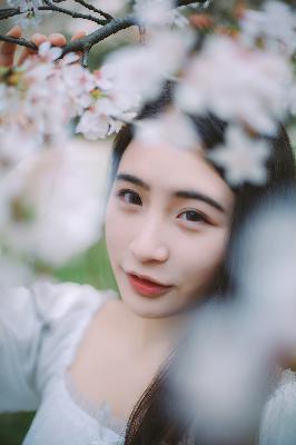 天道电视剧完整版免费观看