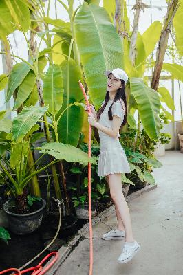 冰雨火电视剧全集免费播放